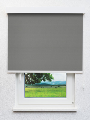 Verdunkelungsrollo Alice 31.078 Fensteransicht