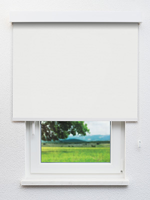 Verdunkelungsrollo Alice 12.078 Fensteransicht