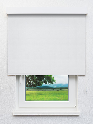 Rollo Molly 10.278 Fensteransicht