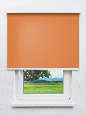 Rollo Life 82.930 Fensteransicht