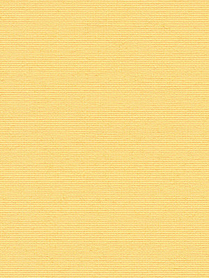 Rollo Julia 42.040 Detailansicht