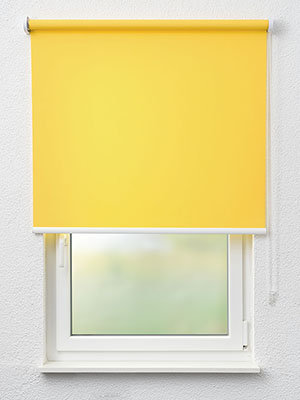 Rollo Julia 62.040 Fensteransicht