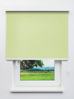 Rollo Julia 98.040 Fensteransicht