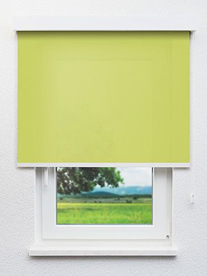 Rollo Julia 59.040 Fensteransicht