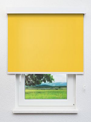 Rollo Daily Uni 42.850 Fensteransicht
