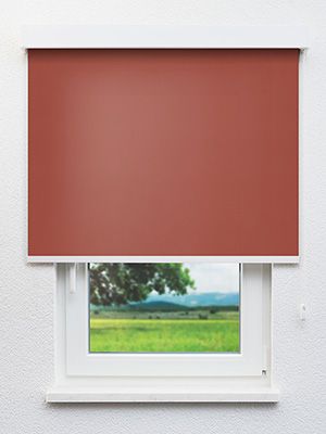 Rollo Daily Uni 23.850 Fensteransicht