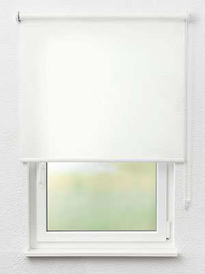 Rollo Rondo 12.290 Fensteransicht