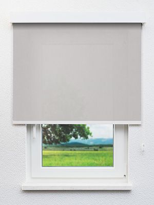 Rollo Life Reflection 20.421 Fensteransicht