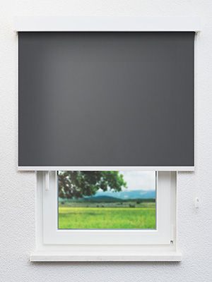 Rollo Life Reflection 40.421 Fensteransicht