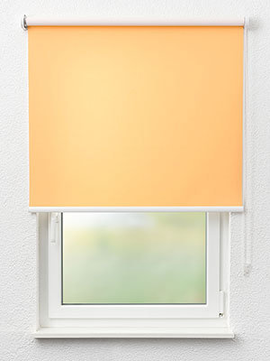 Rollo Life Reflection 72.421 Fensteransicht