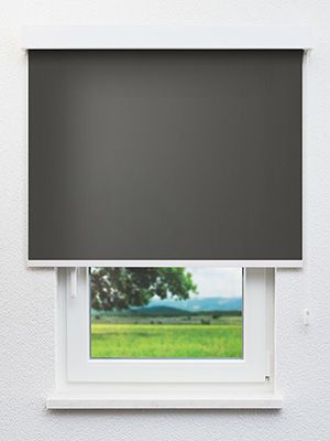 VD Rollo Privatex Dark 30.151 Fensteransicht