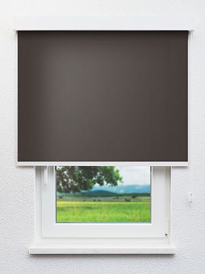 VD Rollo Skylight Reflex 50.391 Fensteransicht