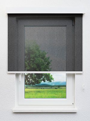 Rollo Soltis 40.822 Fensteransicht
