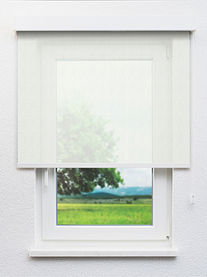 White 04.52d Fensteransicht