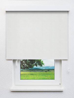 Grey 20.62d Fensteransicht
