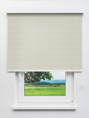 Perl 48.62d Fensteransicht
