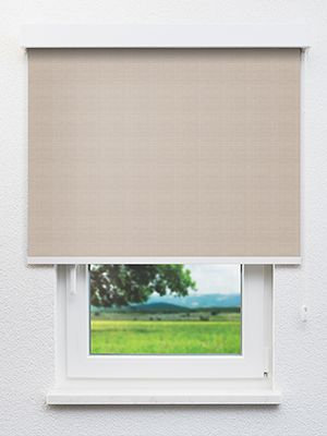 Locon 68.62d Fensteransicht