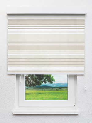 Forari 78.62d Fensteransicht