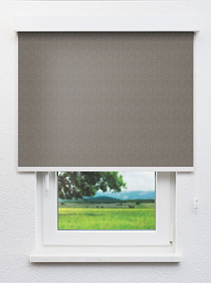 Brown 90.72d Fensteransicht