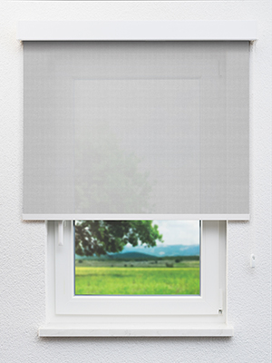 Balimo 06.82d Fensteransicht