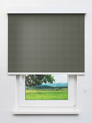 Manora 79.82d Fensteransicht