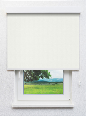 Masusu Blackout 81.92d Fensteransicht