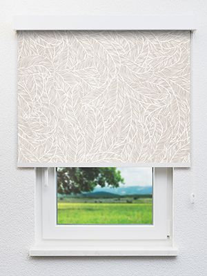 Owaka 95.92d Fensteransicht