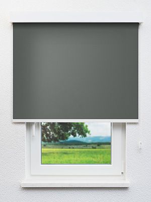 Rollo Albus 20.603 Fensteransicht