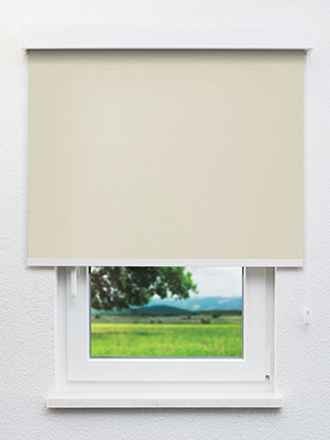 Rollo Albus 91.603 Fensteransicht