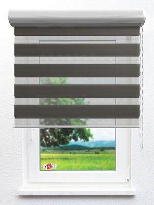 Simply Doppelrollo Sidonia 82.63d Fensteransicht