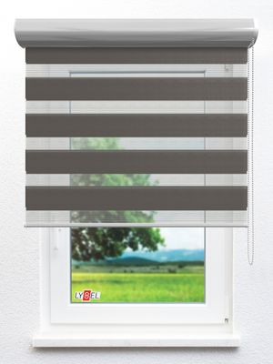 Simply Doppelrollo Sidonia 29.63d Fensteransicht