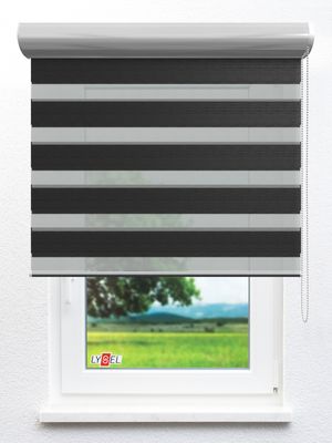 Simply Doppelrollo Waygara 79.63d Fensteransicht
