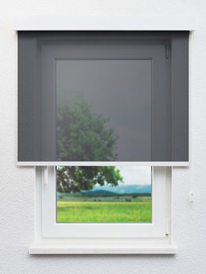 Rollo Vererly 40.214 Fensteransicht
