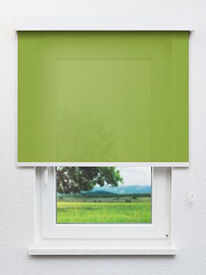Rollo Calm Life 98.024 Fensteransicht