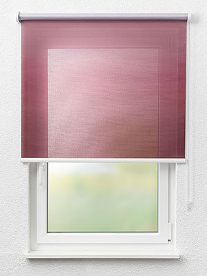 Rollo Magnoly 50.044 Fensteransicht