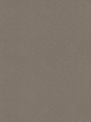 Rollo Silkscreen Reflex 21.284 Detailansicht