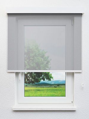 Rollo Silkscreen Reflex 12.284 Fensteransicht