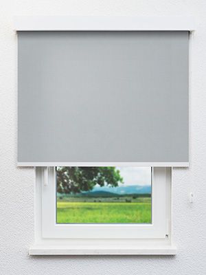 Rollo Fobos Reflex 20.394 Fensteransicht