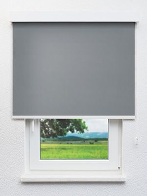Rollo Fobos Reflex 30.394 Fensteransicht