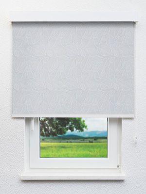 Rollo Leaves Style 10.006 Fensteransicht