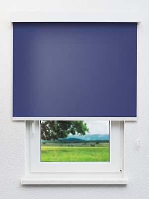 Rollo Blake 85.178 Fensteransicht