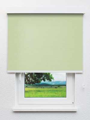 Rollo Blake 98.178 Fensteransicht