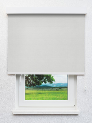 Rollo Molly 20.278 Fensteransicht