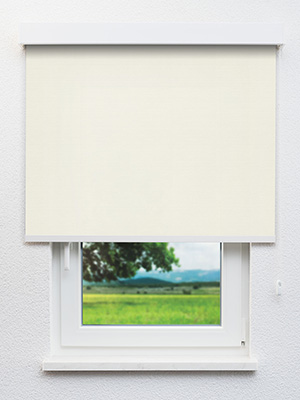 Rollo Molly 91.278 Fensteransicht