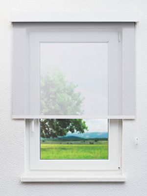 Rollo Harper 12.279 Fensteransicht
