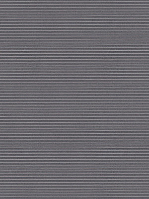 Preview Rollo Trans Stripe 30.010 2