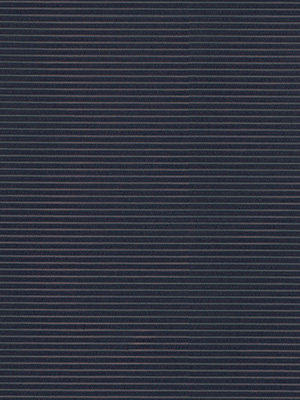 Rollo Trans Stripe 40.010 Detailansicht