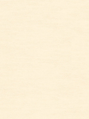 Rollo Structura Trans 91.210 Detailansicht