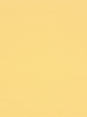 Rollo Julia 62.040 Detailansicht