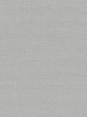 Stoff Rollo Shine 10.440